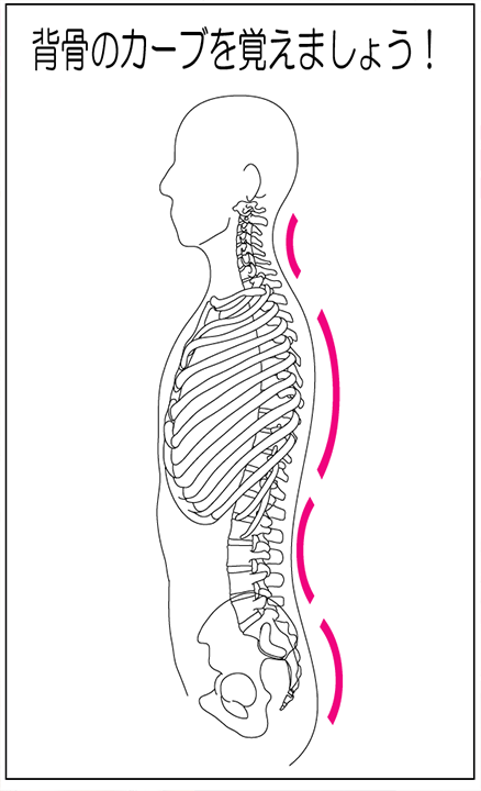 正しい姿勢をつくるには…