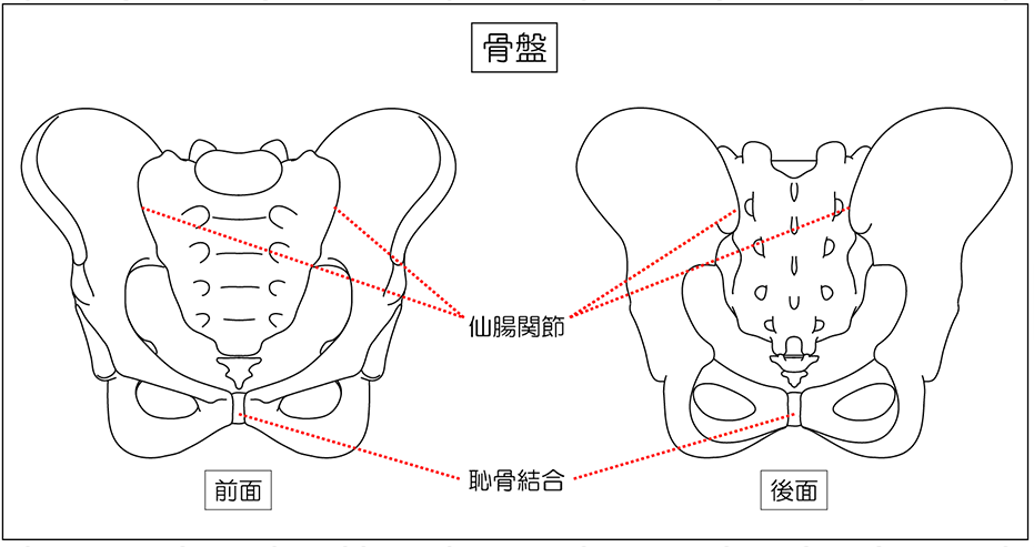 骨盤は、そんなに開きません！